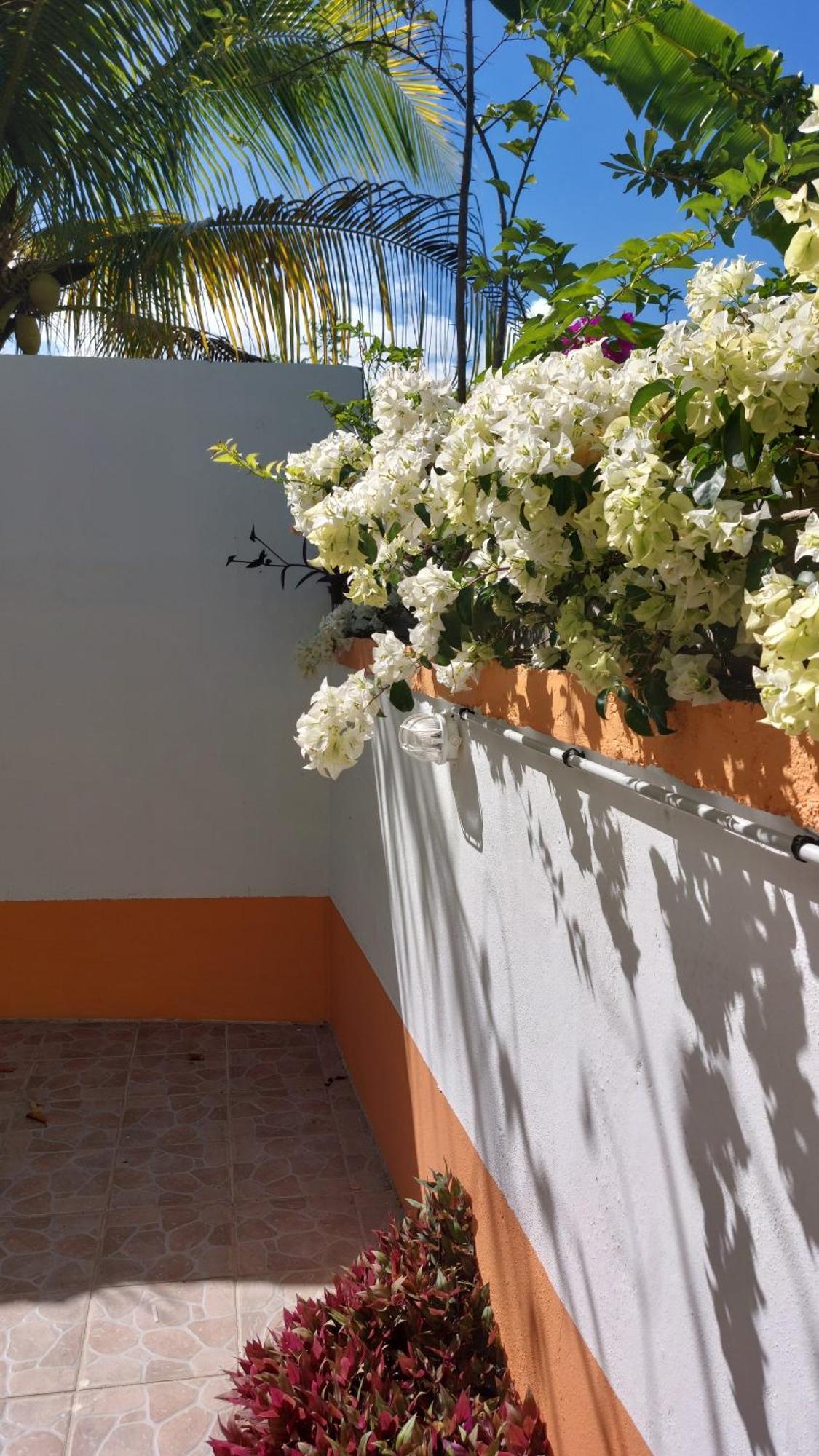 Calme Villa Sainte-Rose Exterior photo